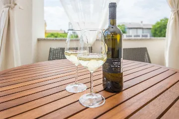 Studio Apartment for 2 in Vir, Croatia