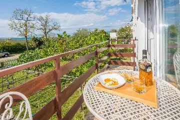 Privlaka 1-Bedroom Apartment for 2-4 Guests