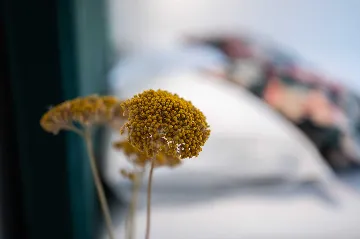 Stone Villa in Vir for up to 5 guests