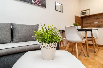 Apartment in Vir for 4 Guests with Terrace