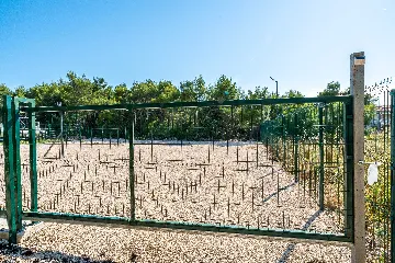 Apartment in Vir for 4 Guests with Terrace