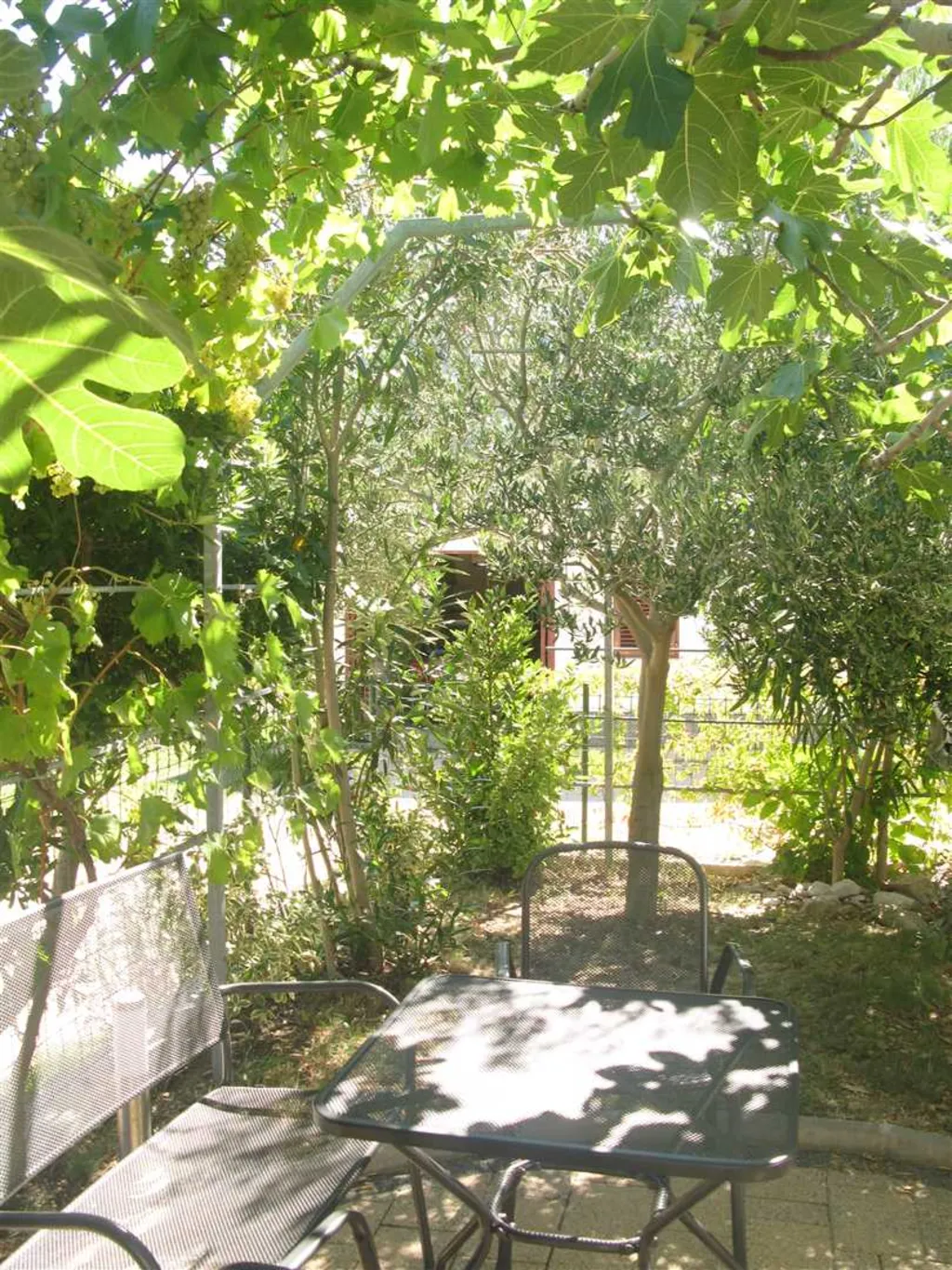 Rental #8058