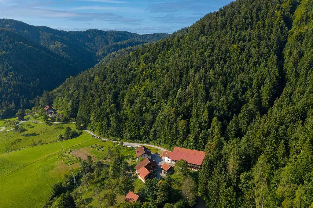 RUŽIČAR