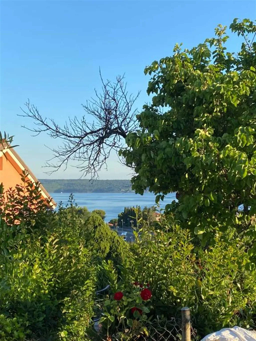 Terrace 1-Bedroom Apartment in Piran