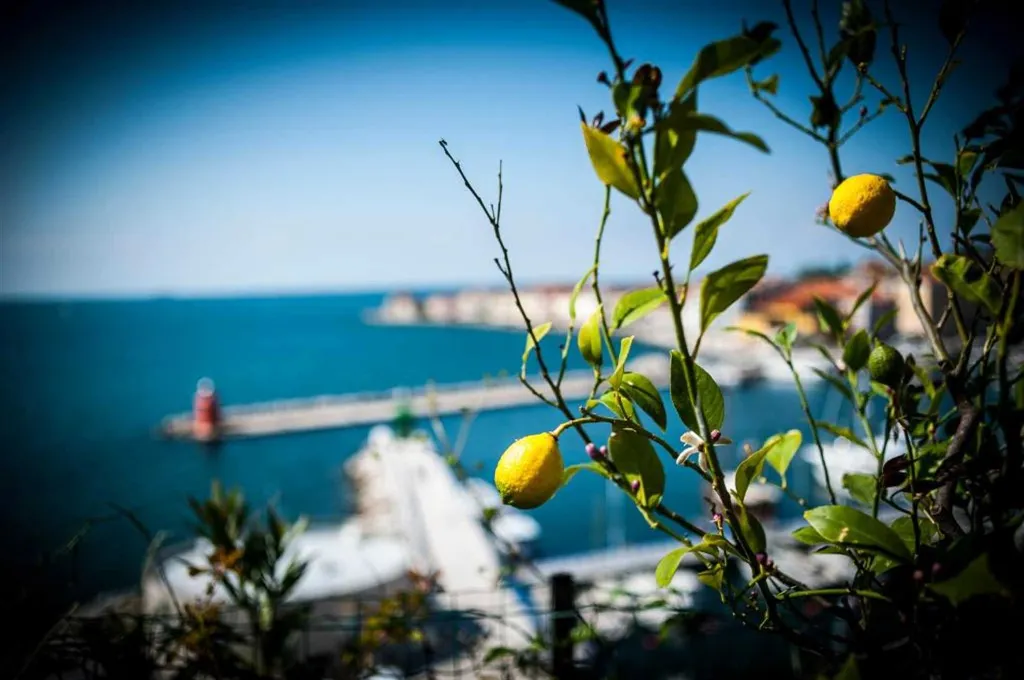 Holiday House with Terrace and Sea Views in Piran