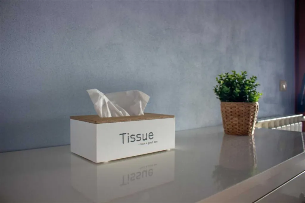 Two-Bedroom Apartment with Sea Views in Izola