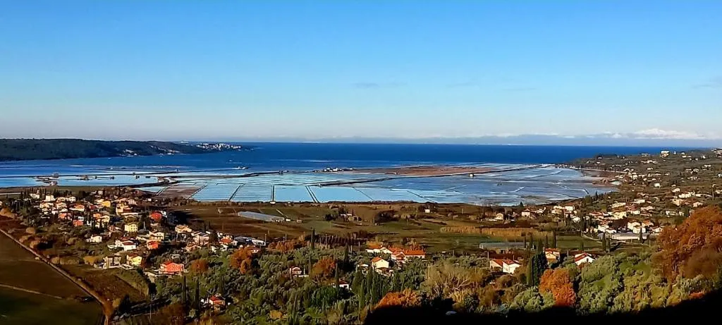 Sečovlje 2-Bedroom Apartment with Garden Views