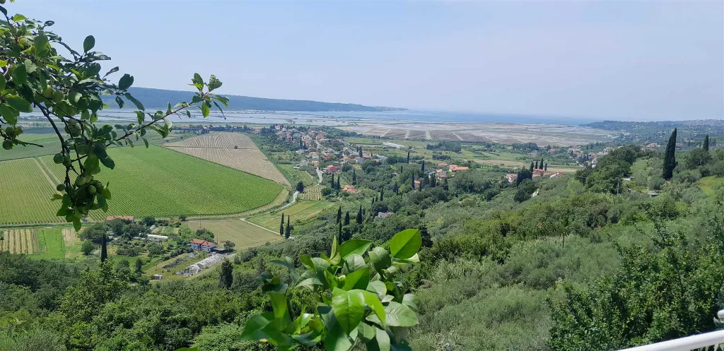 Sečovlje 2-Bedroom Apartment with Garden Views