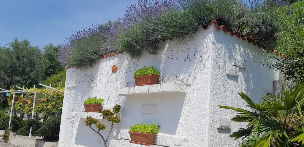 Sečovlje 2-Bedroom Apartment with Garden Views