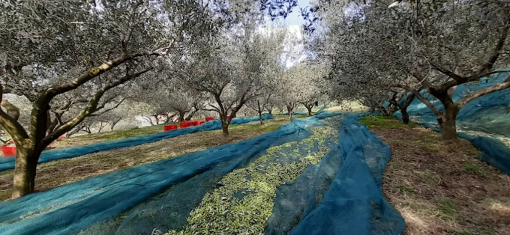 Sečovlje Studio Apartment for 2 with Garden Views