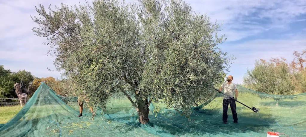 2-Bedroom Apartment in Sečovlje for 4 Guests