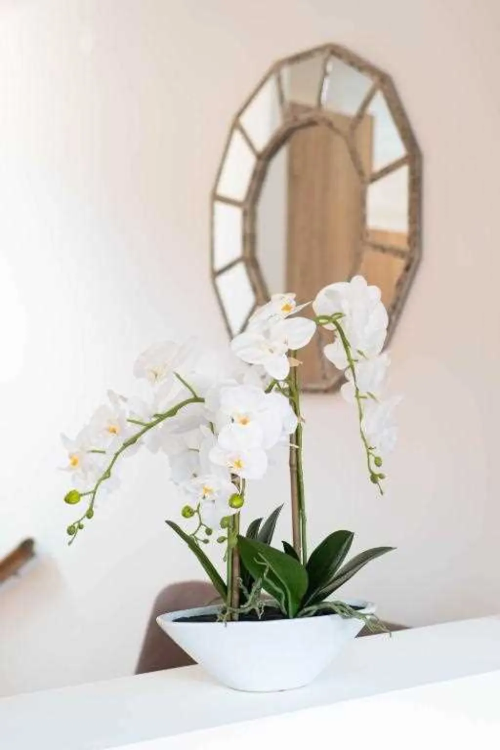 Air-Conditioned Duplex Apartment in Piran (Sleeps 4)