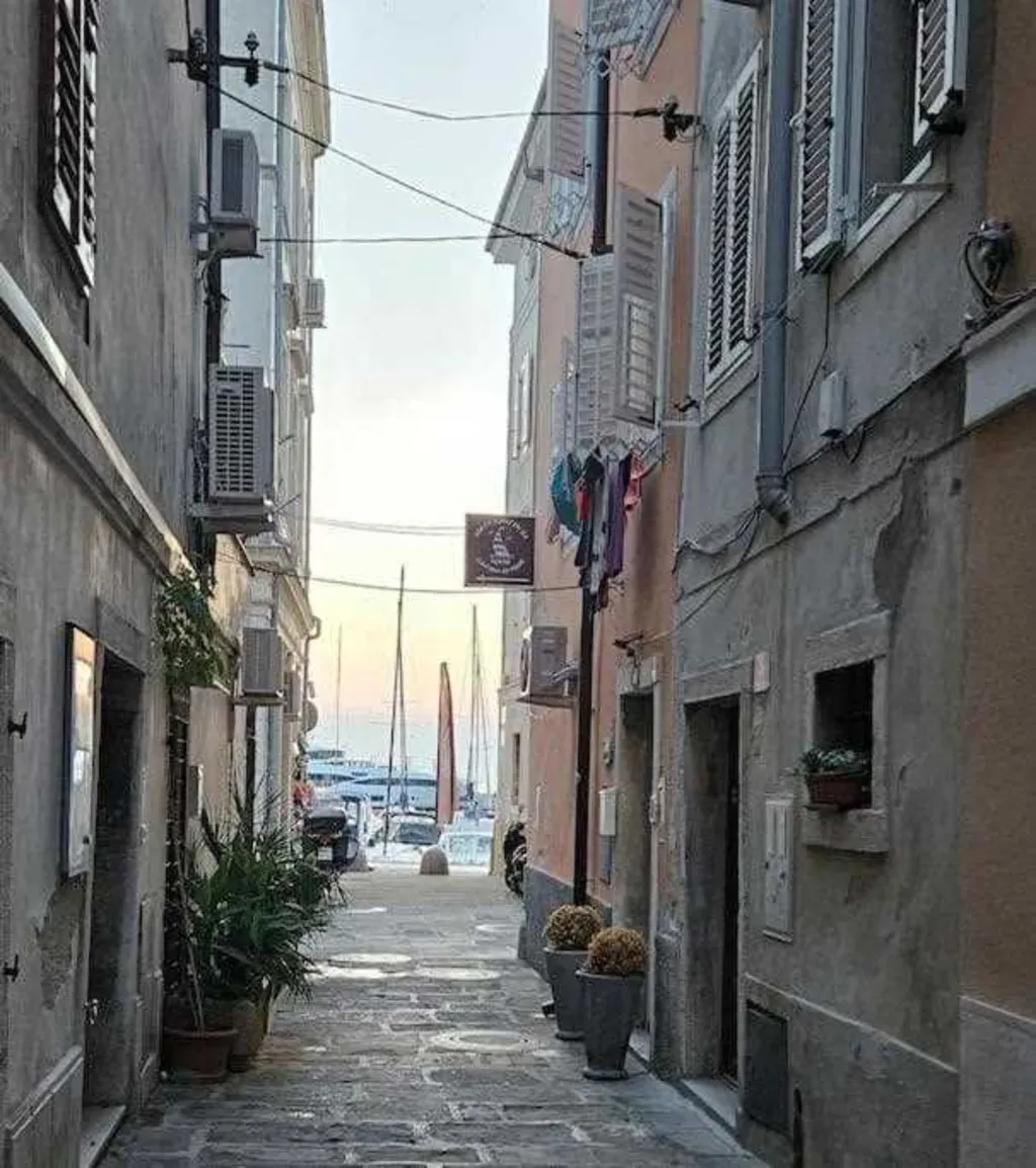 One-Bedroom Apartment with Rooftop Terrace in Piran