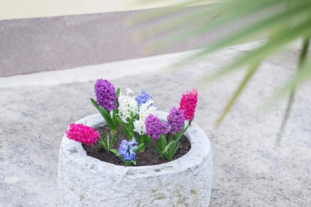 One-Bedroom Apartment with Terrace in Portorož