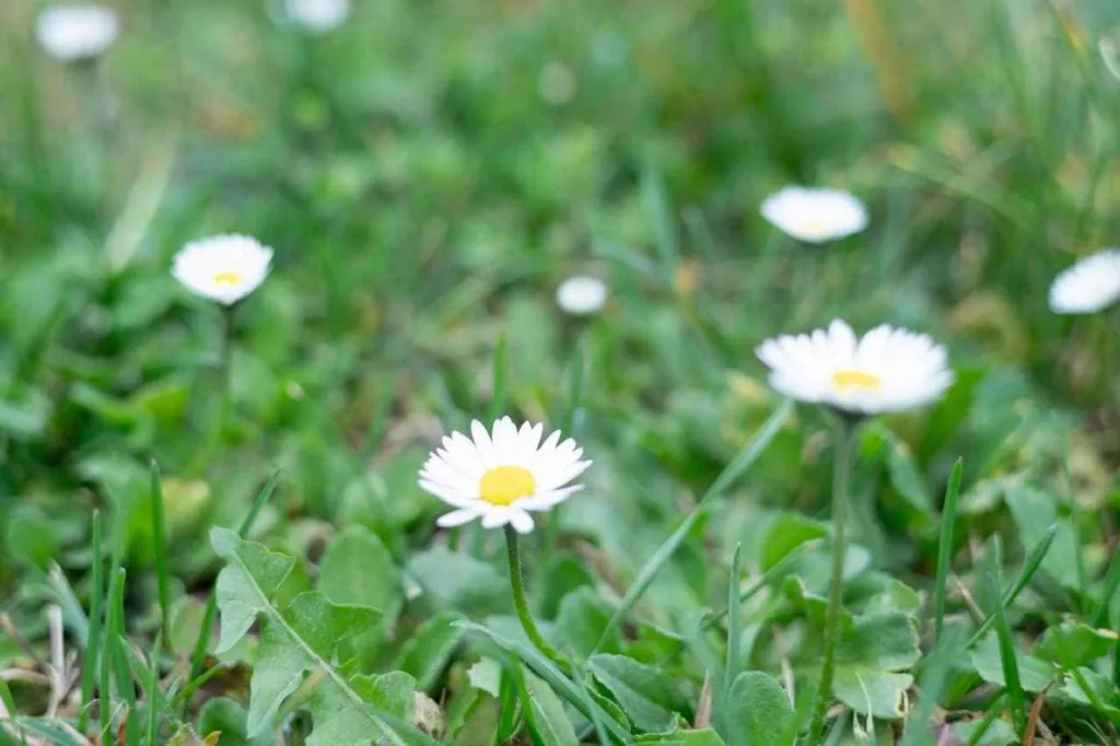 One-Bedroom Apartment with Terrace in Portorož