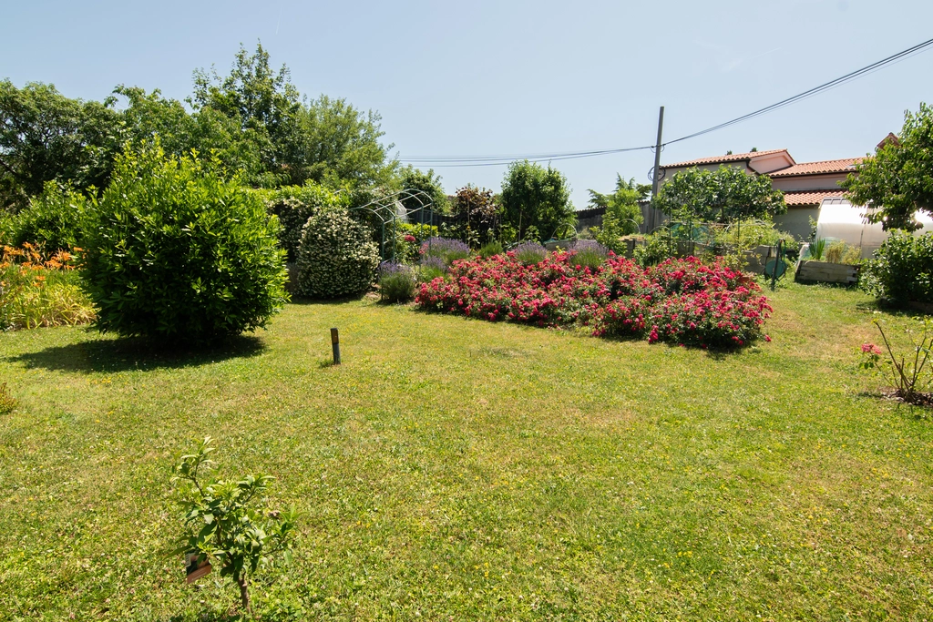 Apartman Oljka Pomjan