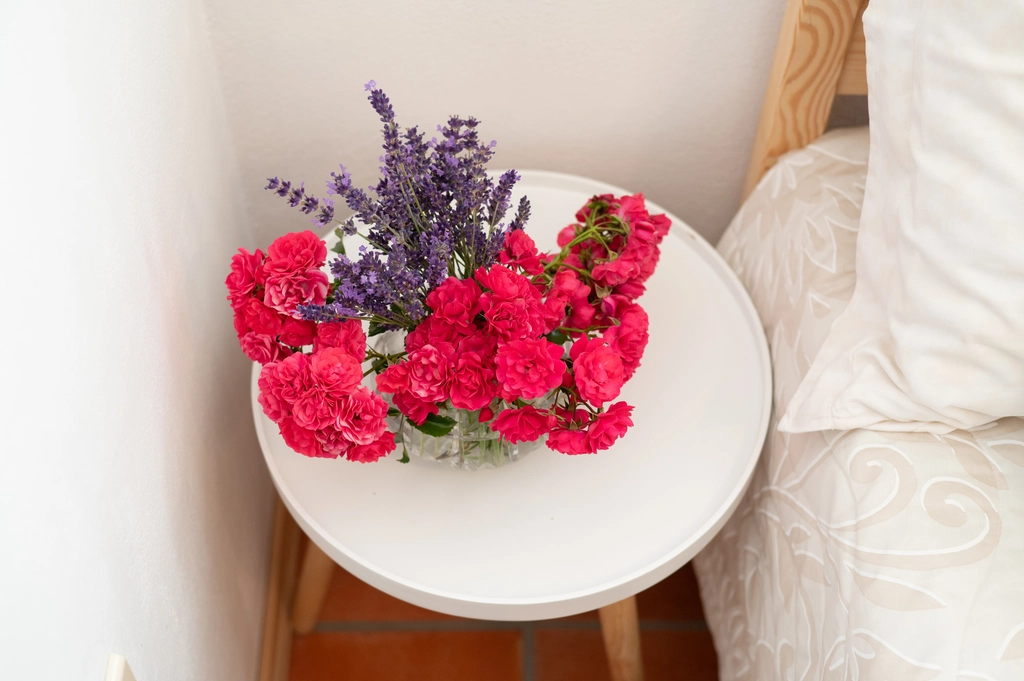 Apartman Oljka Pomjan