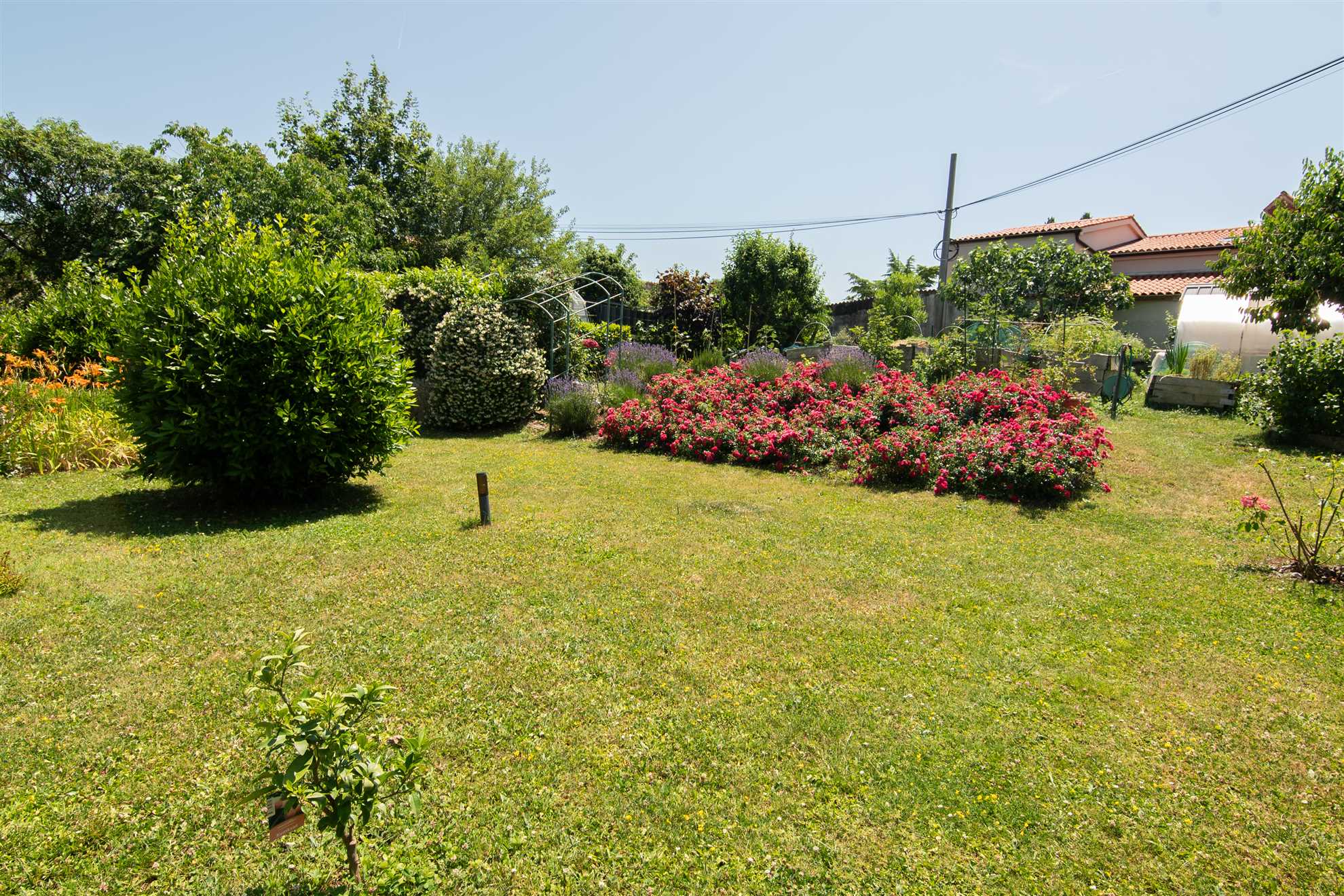 Apartment Oljka Pomjan