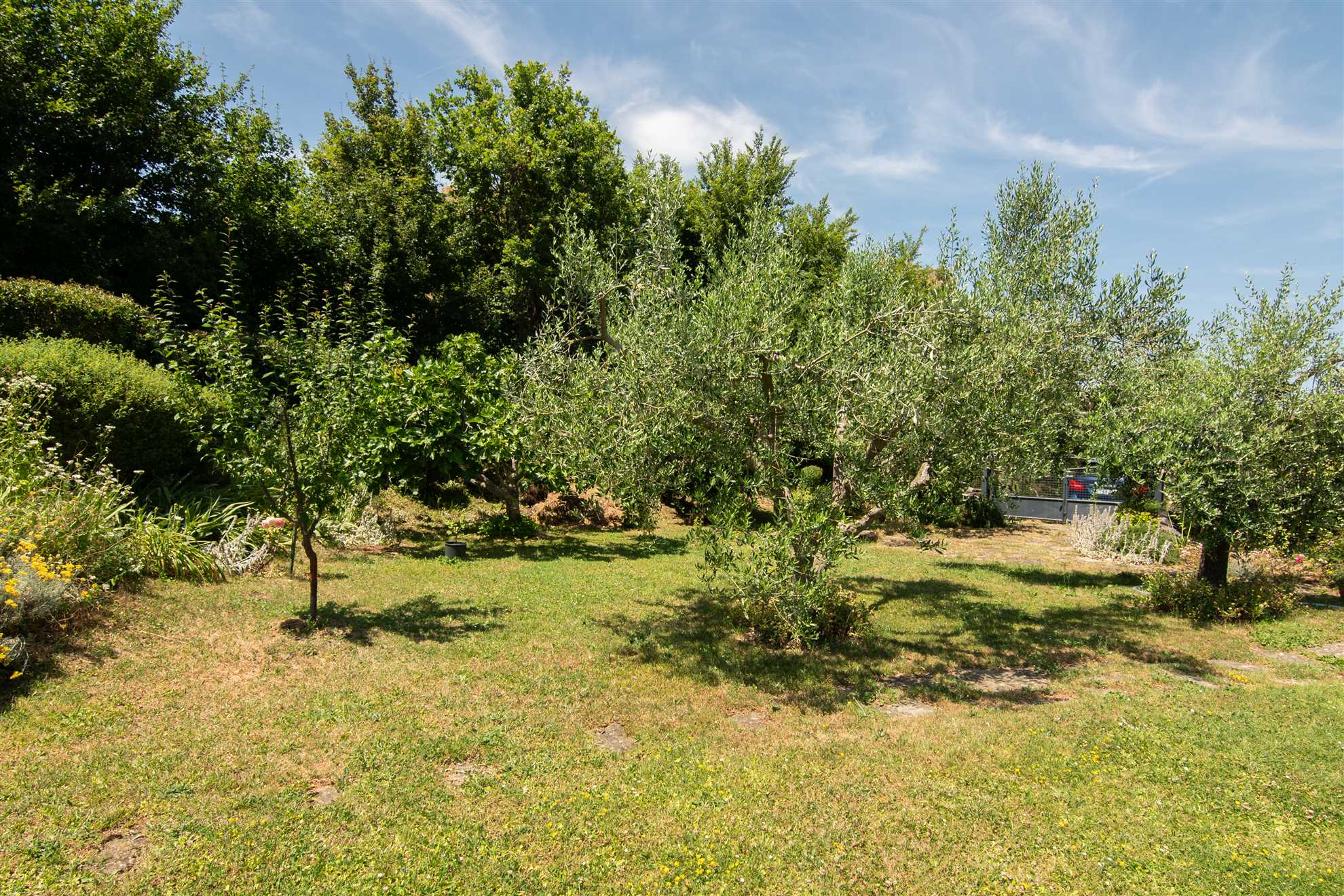 Apartment Oljka Pomjan