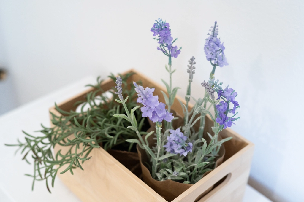 Two-Bedroom City Apartment in Piran for 5 Guests