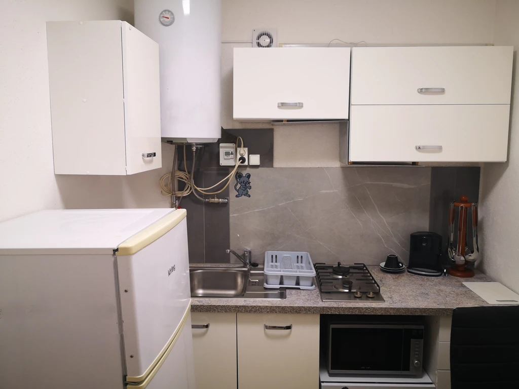 One-Bedroom Apartment for up to 3 Guests in Koper