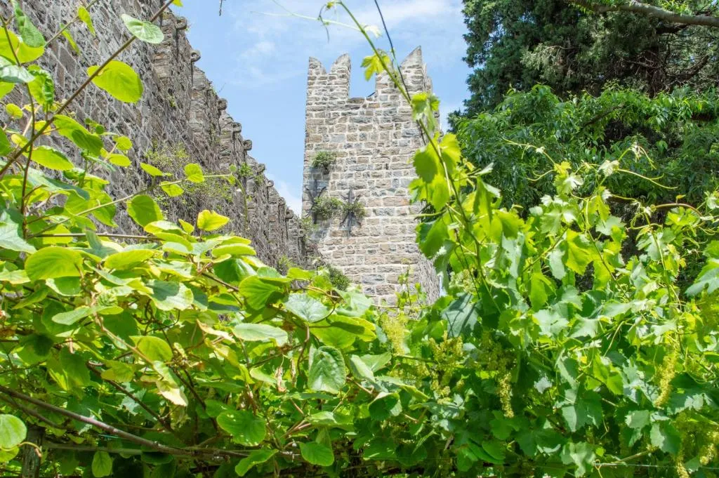 Guest Room in Piran for Up to 3 Guests