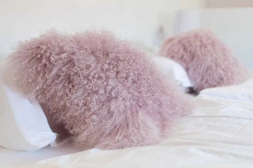 Two-Bedroom Apartment in Piran for 4 Guests