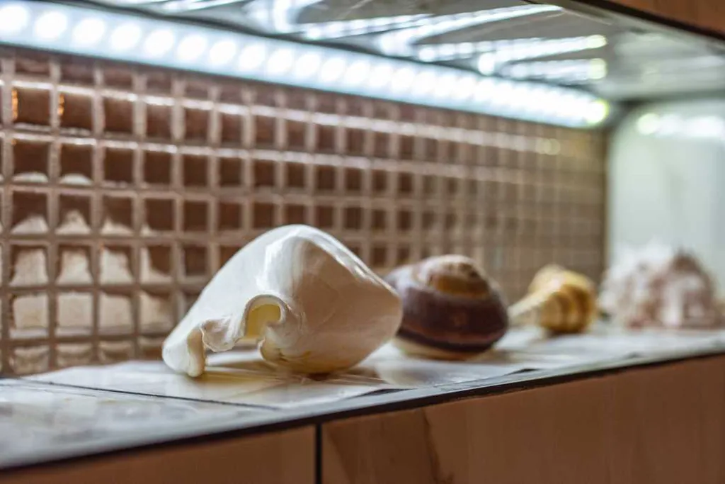 Air-Conditioned Double Room in Piran (Breakfast Included)