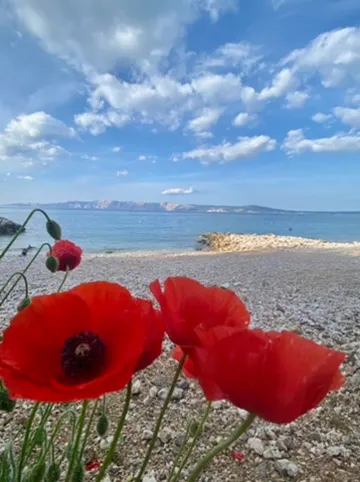 Apartment in Novi Vinodolski for up to 3 guests