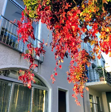 Apartment in Novi Vinodolski for up to 3 guests