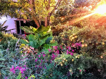 Apartment in Novi Vinodolski for up to 3 guests