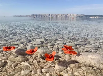 Apartment in Novi Vinodolski for up to 3 guests