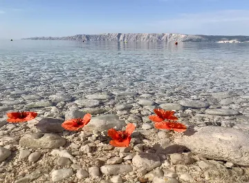 Loft in Novi Vinodolski for up to 6 guests