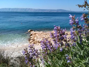 Loft in Novi Vinodolski for up to 6 guests