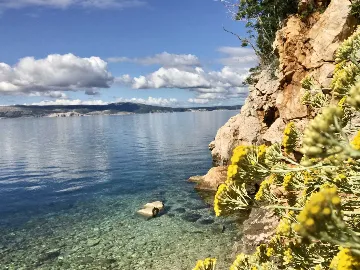 Novi Vinodolski Apartment with Pool & Beach Access