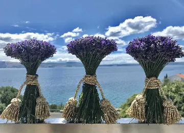 Beachside Villa with Pool in Novi Vinodolski