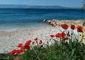 Beachside Villa with Pool in Novi Vinodolski