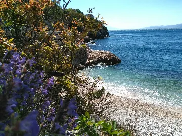 Beachside Villa with Pool in Novi Vinodolski