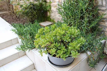 2-Bedroom Apartment for 4 in Rovinj