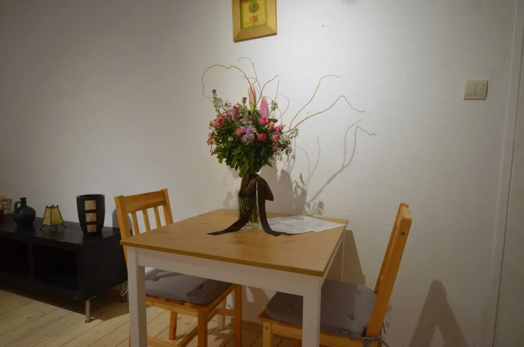 Rovinj Old Town Studio for up to 2 Guests