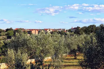 3-Bedroom Holiday House in Peruski, Croatia