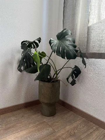 Villa for 8 Guests in Mravince with Pool & Hot Tub