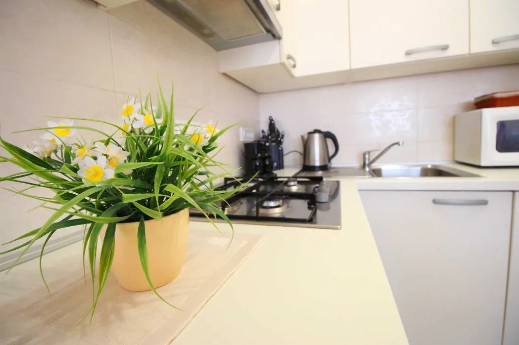 Rovinj Apartment for 4 Guests with 2 Bedrooms