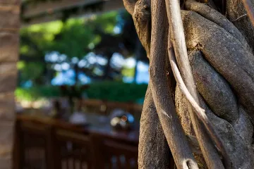 6-Bedroom Pool Villa in Bol, Croatia