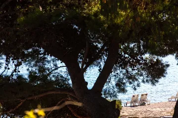 6-Bedroom Pool Villa in Bol, Croatia