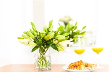 6-Bedroom Pool Villa in Bol, Croatia