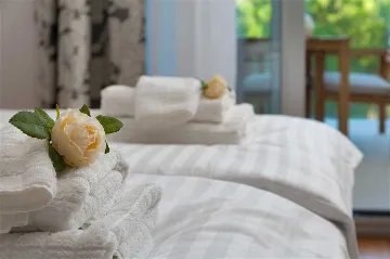 Bobovisce Villa with Heated Pool for 10 Guests