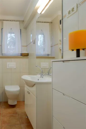 Villa in Mirca for 10 Guests with Pool & Sauna