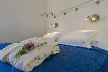 Villa in Mirca for 10 Guests with Pool & Sauna