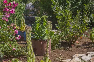 3-Bedroom Villa in Vrgorac with Heated Pool